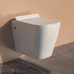 Alessa wall hung toilet