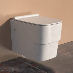 Alivia Wall hung toilet