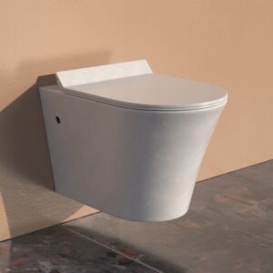 Aquila Hang Toilet seat